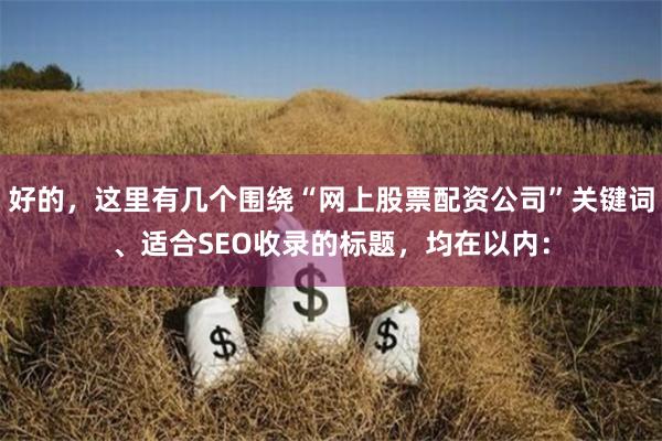 好的，这里有几个围绕“网上股票配资公司”关键词、适合SEO收录的标题，均在以内：