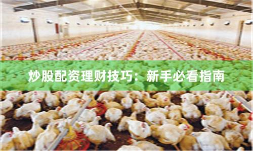炒股配资理财技巧：新手必看指南