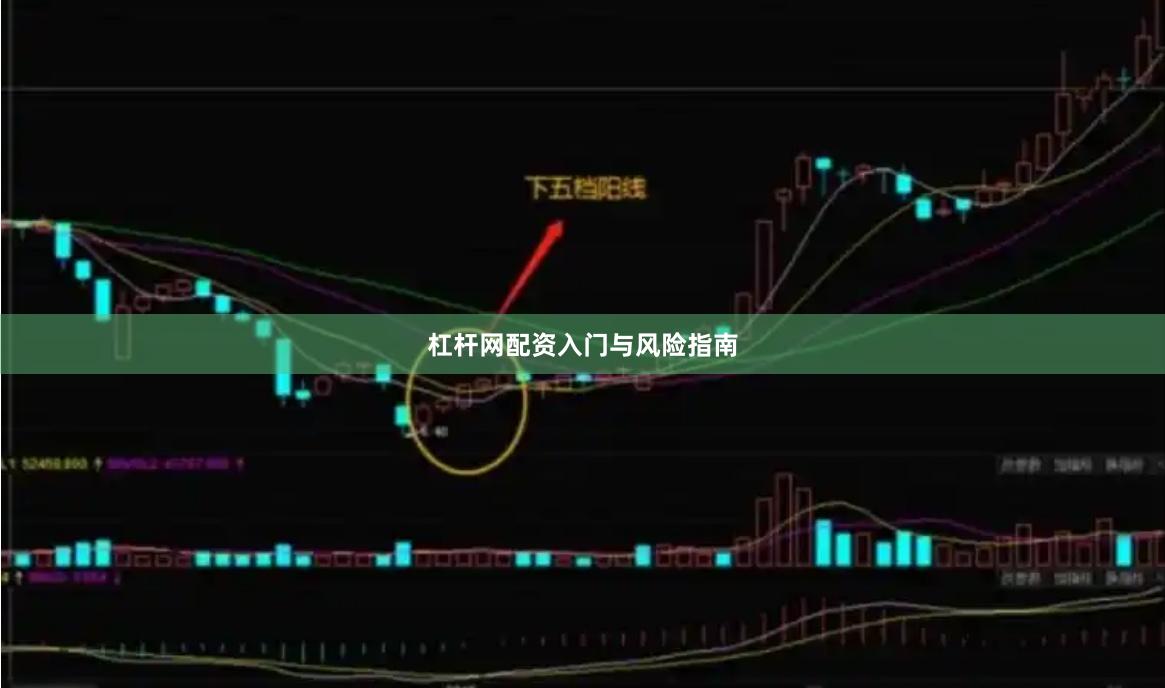 杠杆网配资入门与风险指南