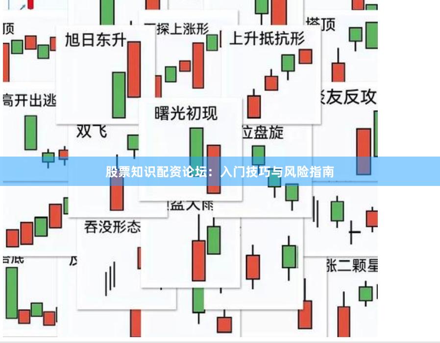 股票知识配资论坛:入门技巧与风险指南